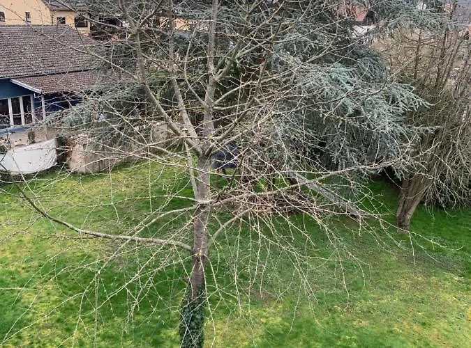 Lejlighed Grosses Aschaffenburg 4 Schlafzimmer Bis Zu 10 Personen Mainpark *